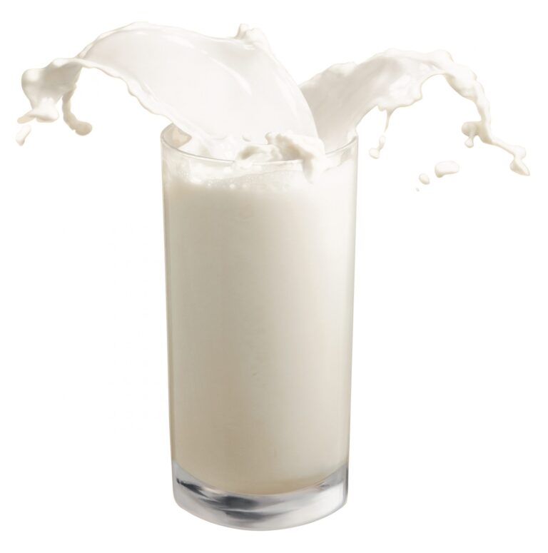 Cow Milk Increases Risk of Bone Fractures.