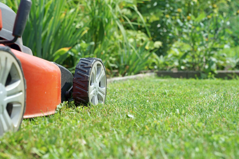 3 Ways to Help Your Body While Gardening