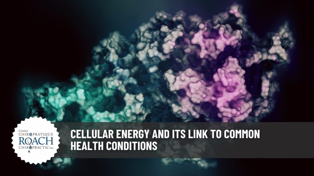 a multi-colored representation of mitochondria