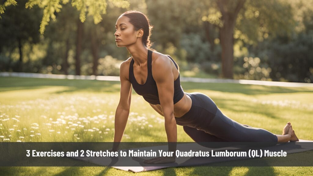 3 Exercises and 2 Stretches to Maintain Your Quadratus Lumborum QL Muscle