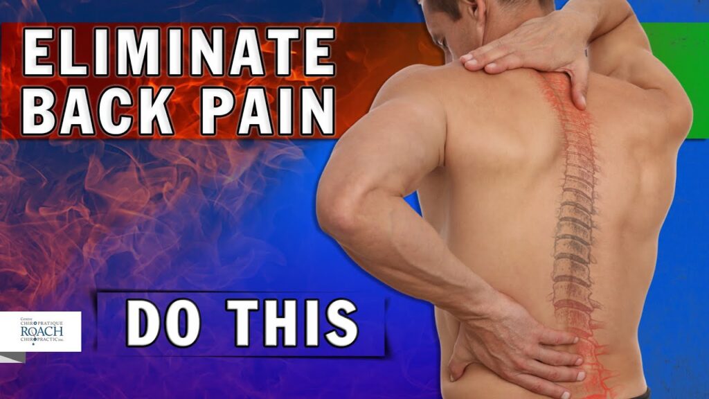 how to maintain healthy spine curves for a pain free life
