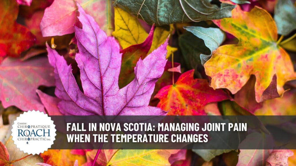 Fall in Nova Scotia: Managing Joint Pain When the Temperature Changes 3 a collage of multi-colored leaves, signifying the fall/autumn season