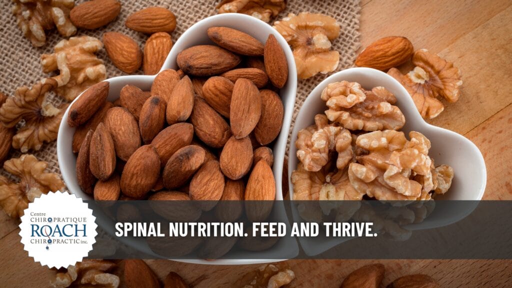 Spinal Nutrition. Feed and Thrive. 4 almonds and walnuts in heart shaped bowls