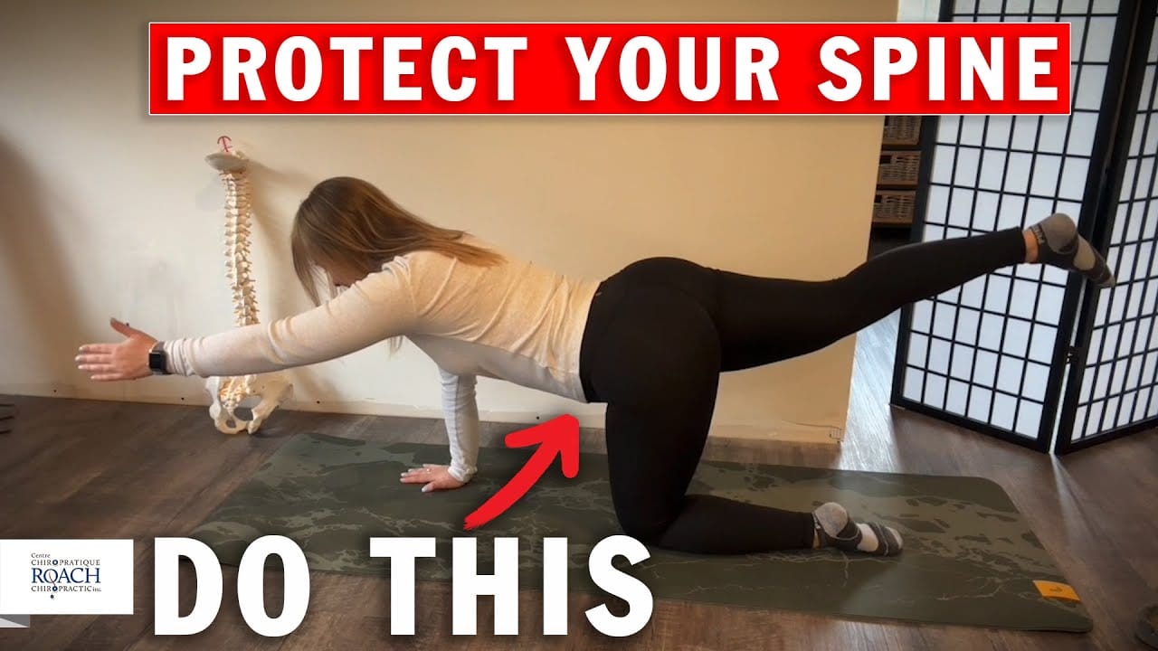 fix your back pain with the mcgill big 3 back pain relief core strength